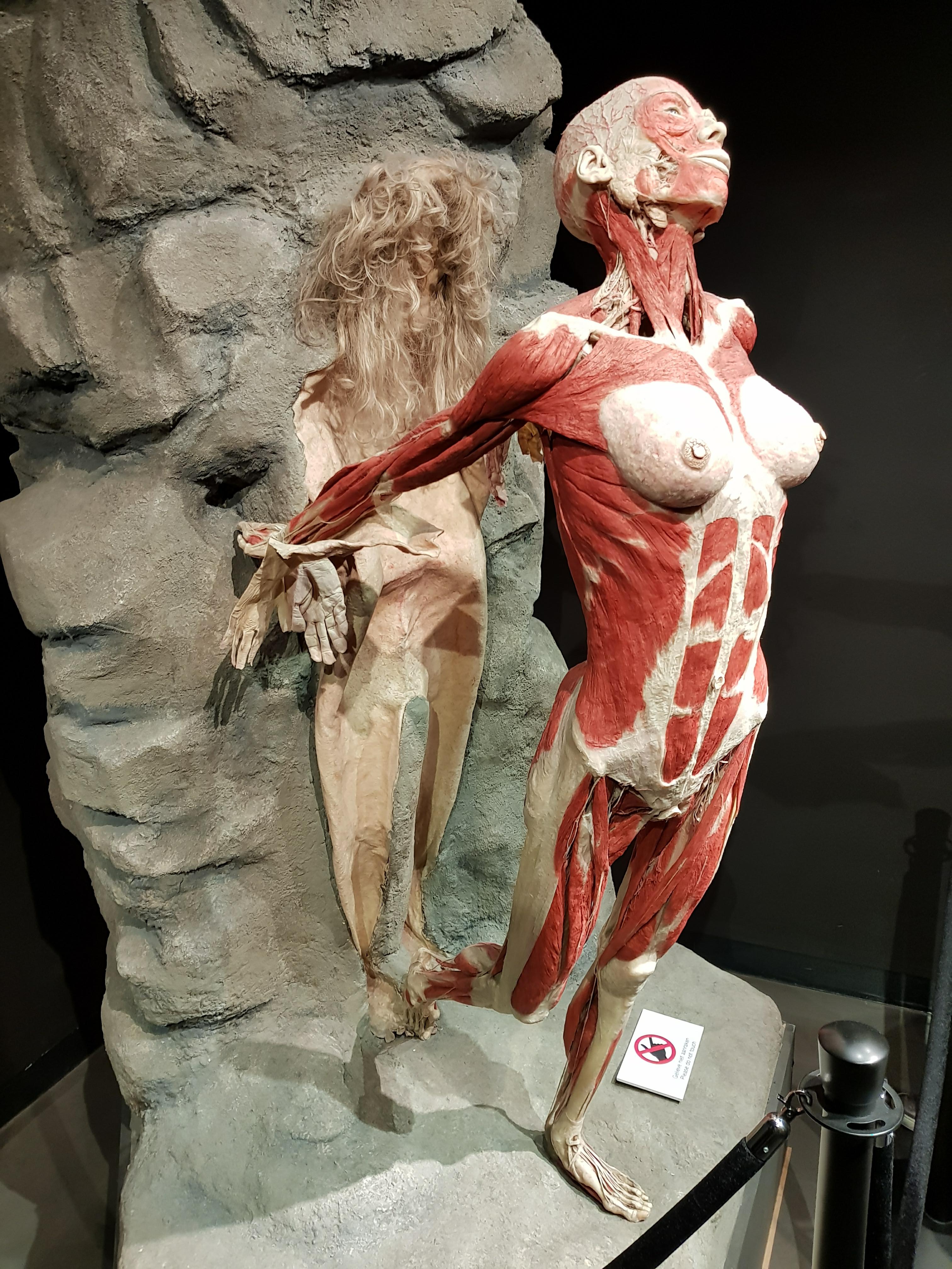 A statue of a woman emerging from her skin where you can just see her muscles