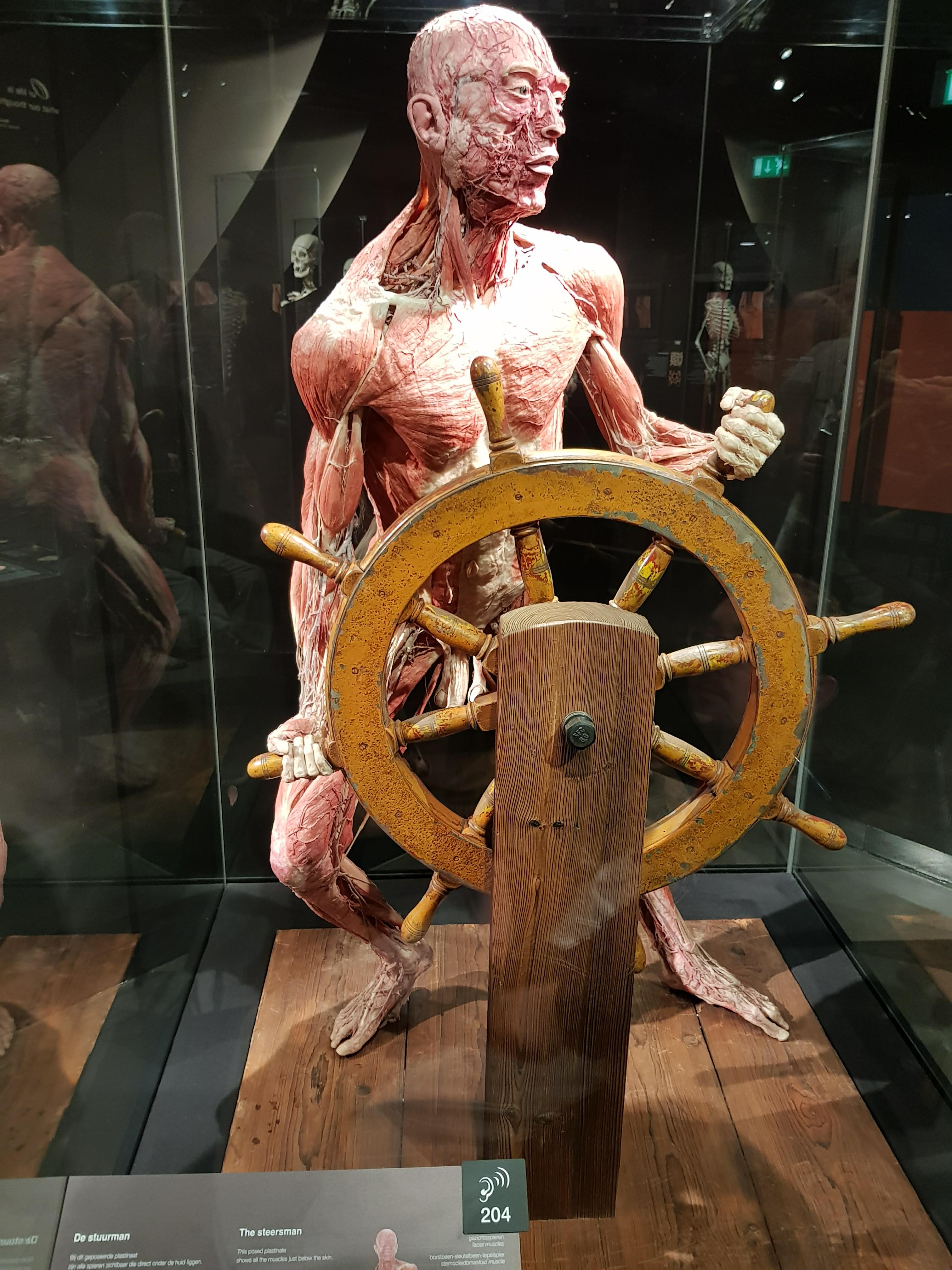 31648311_1718221401557248_1965044028655271936_n