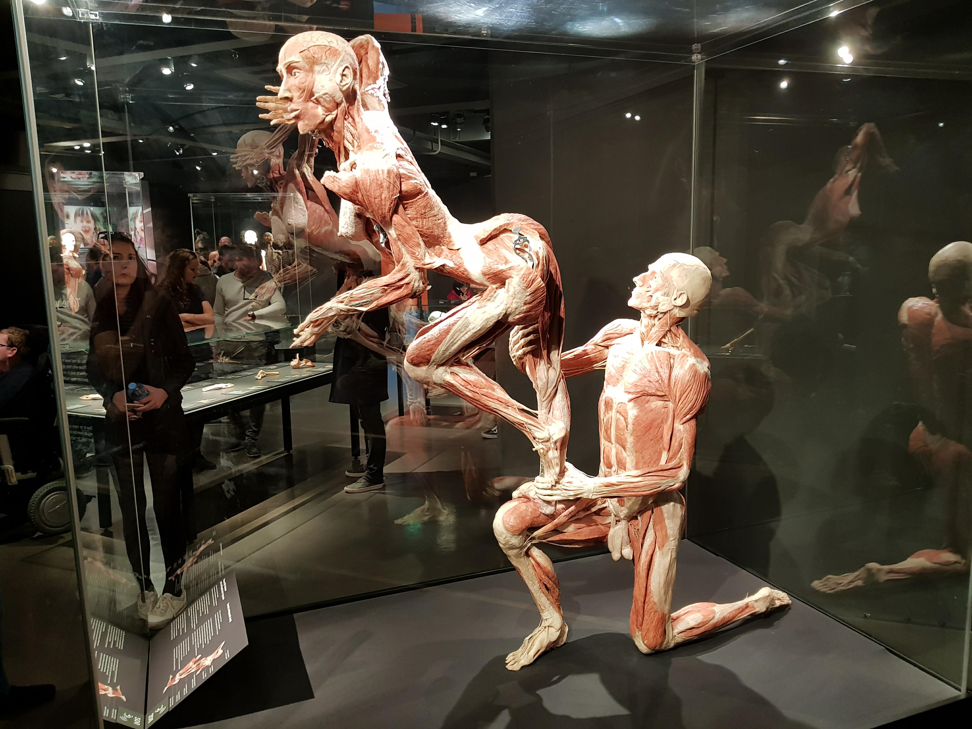 31689122_1718222958223759_2097322656230539264_n