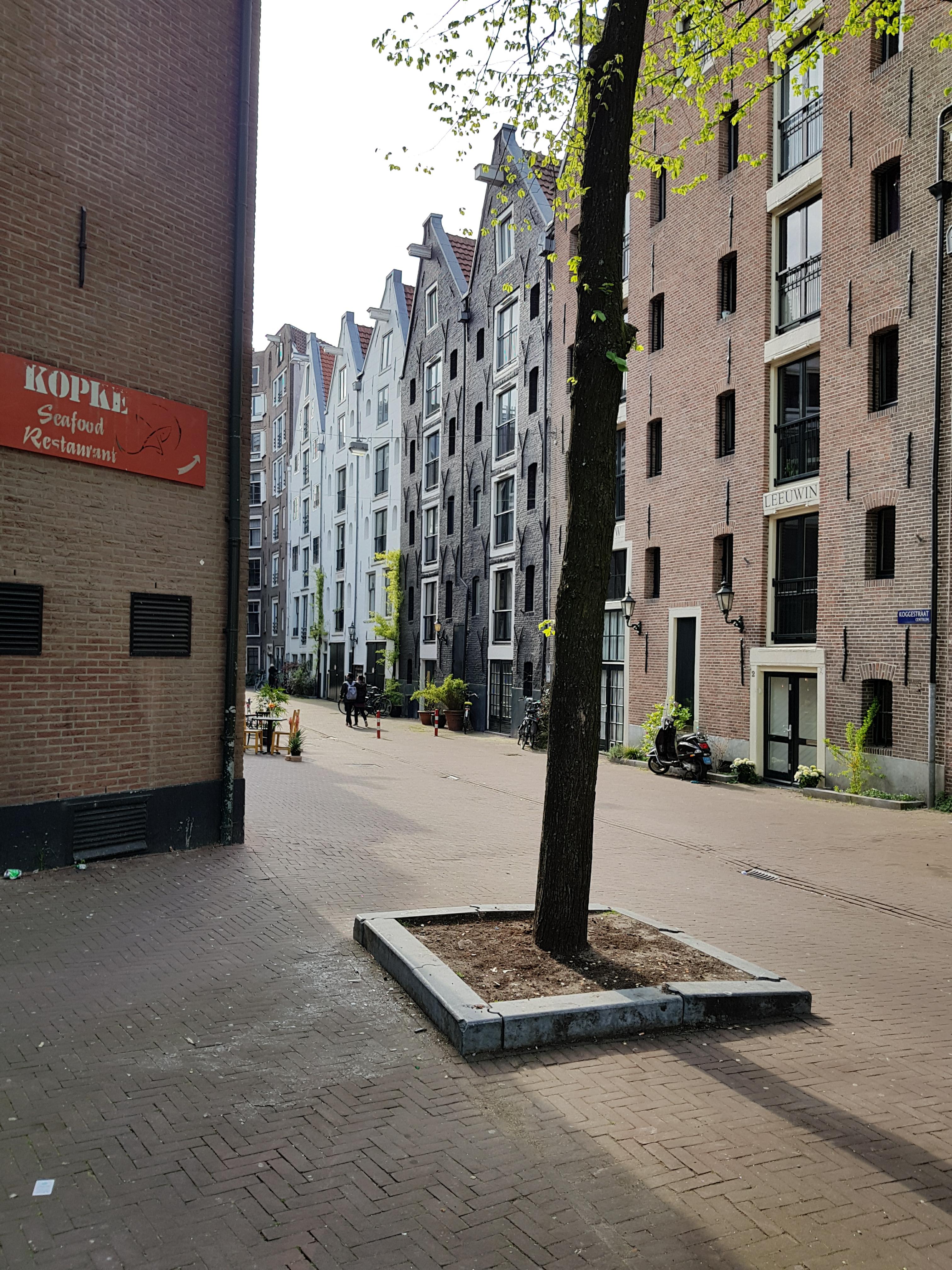 31706472_1718233808222674_8188194350543405056_n