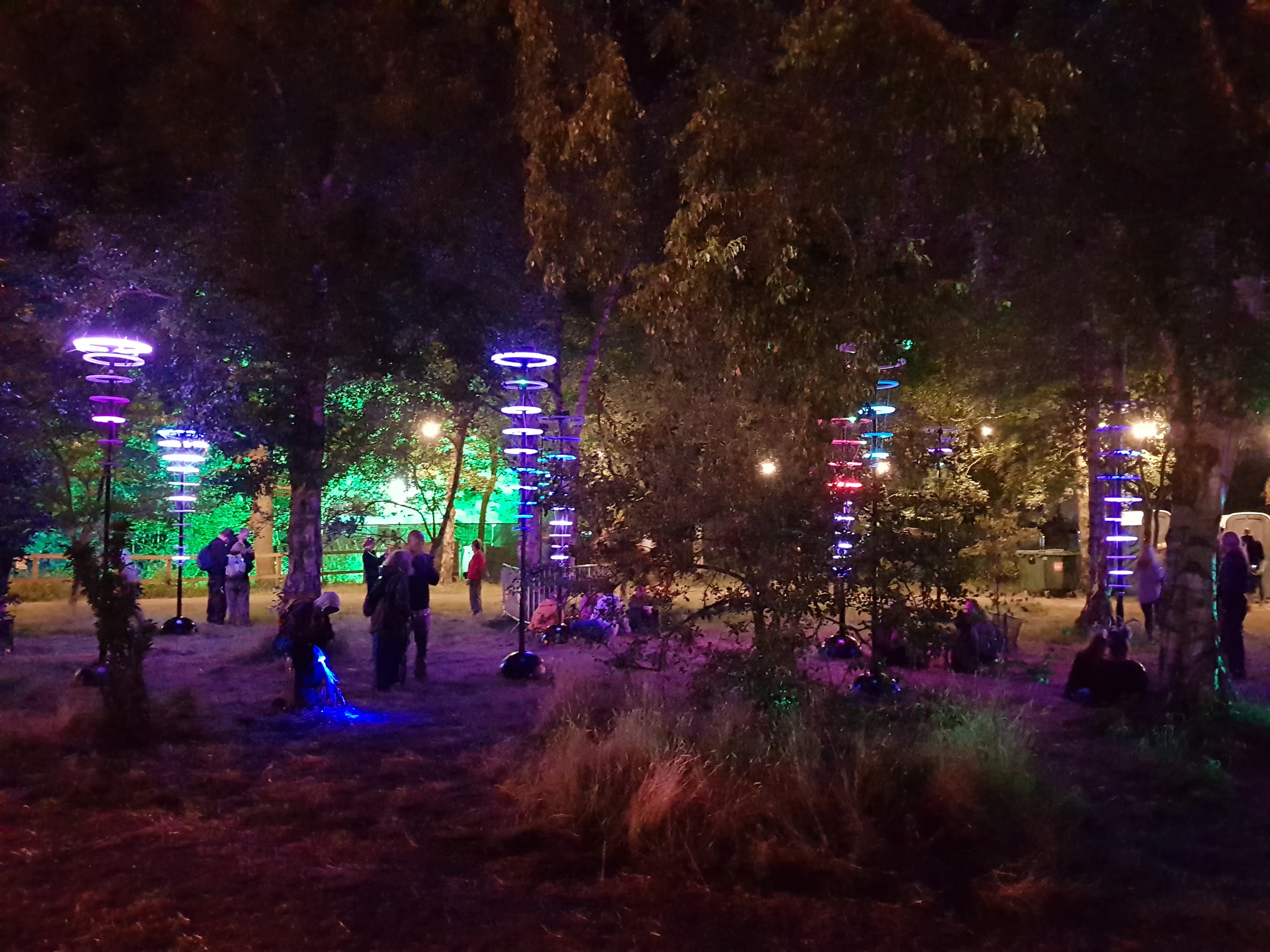 An art installation consisting of a number of vertical poles each with a number of illuminated rings running down them. Trees surround the poles.