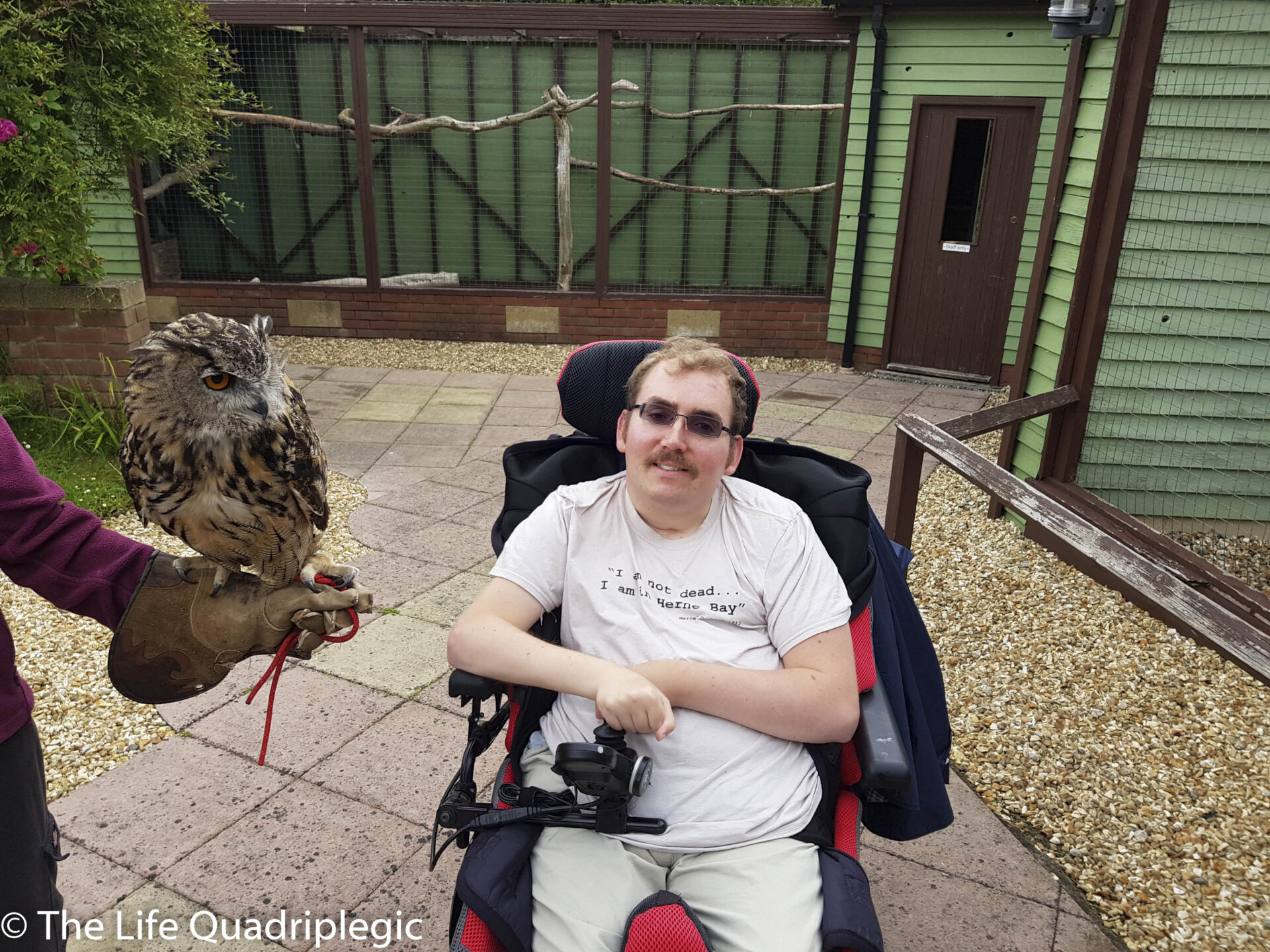 A man in a wheelchair smiles while sitting next to a handler holding an owl at a wildlife rescue center.