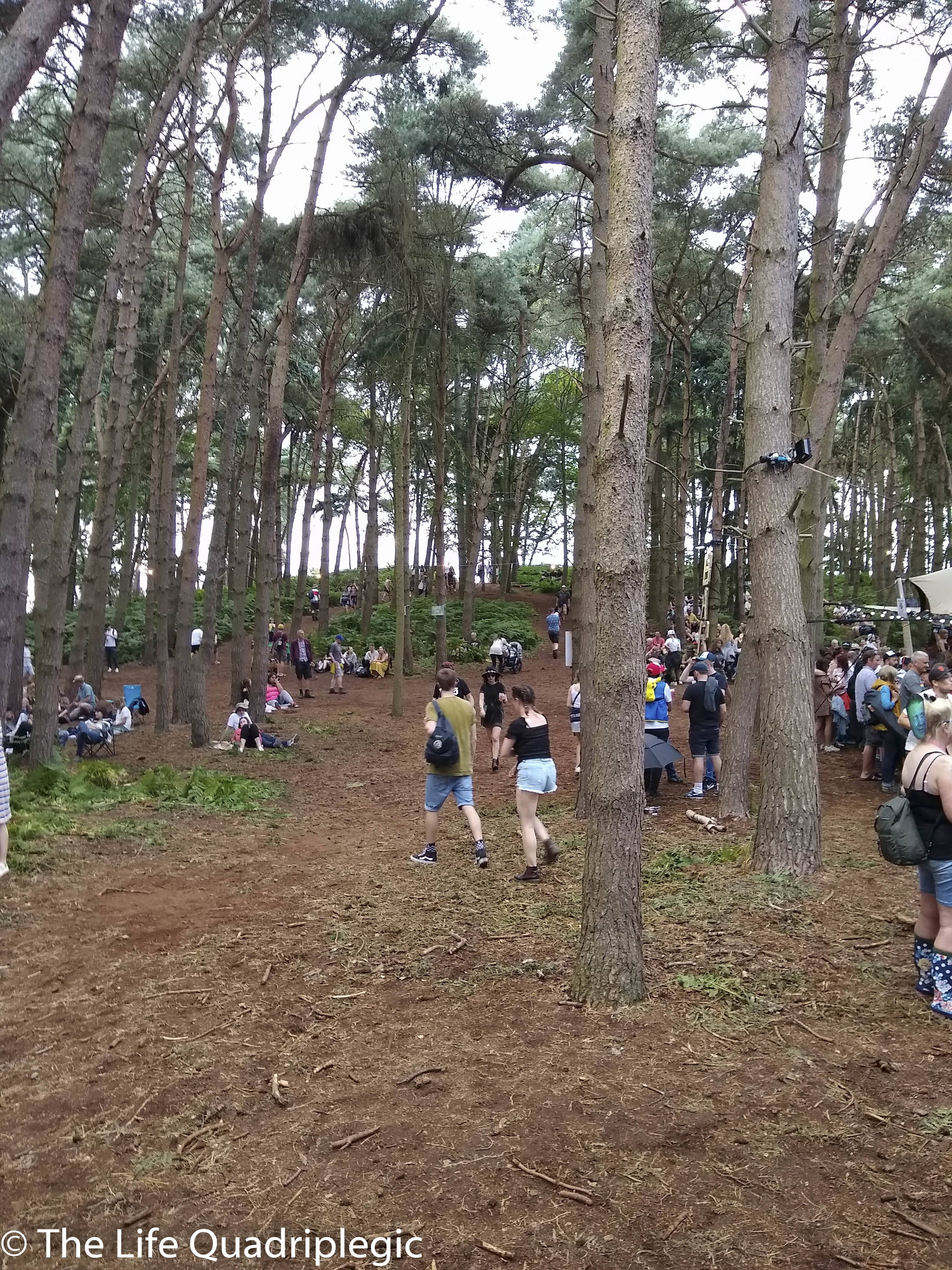 A large number of people are walking through the trees in a forest