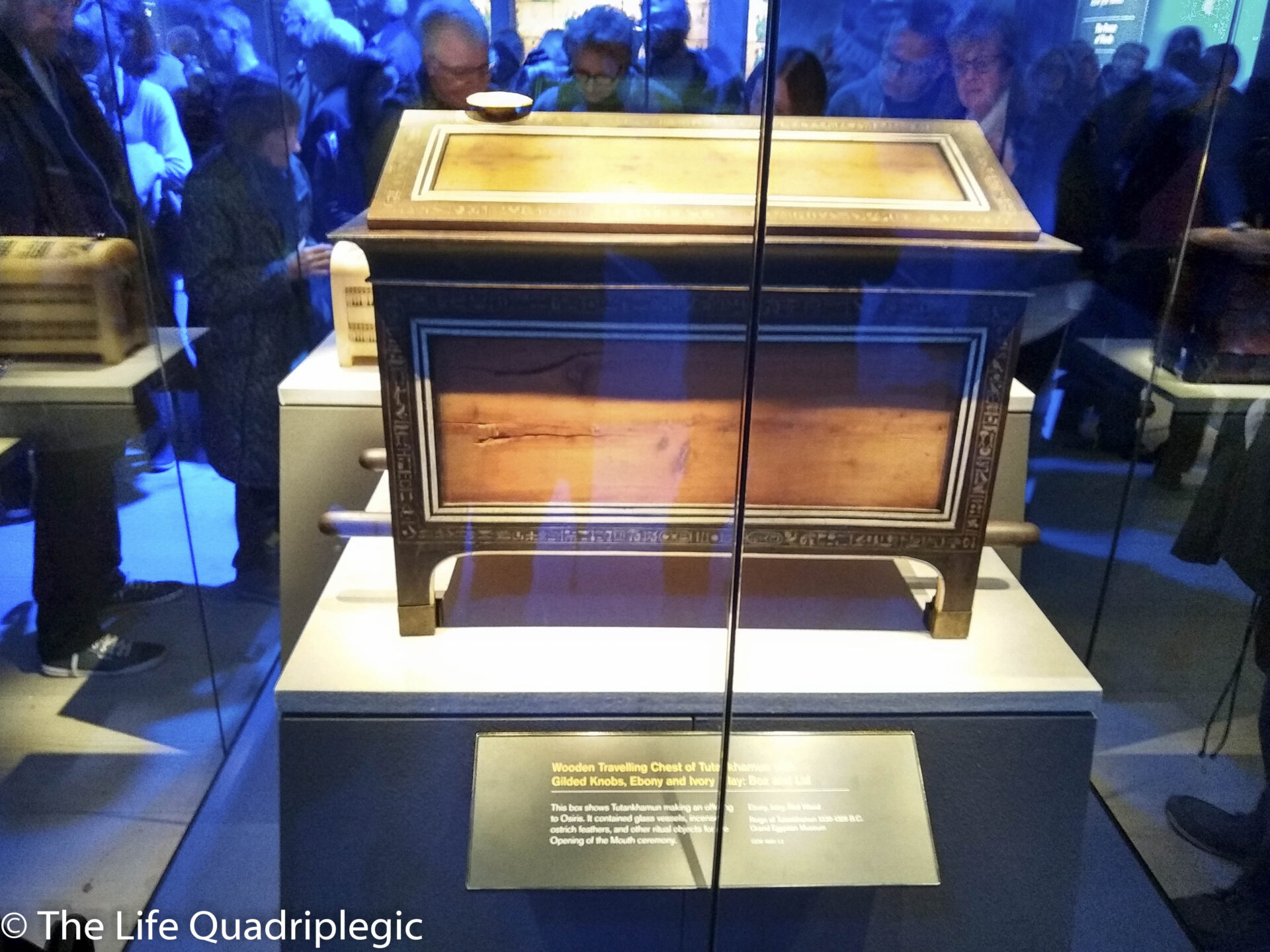 IMG_20191104_144631159_HDR