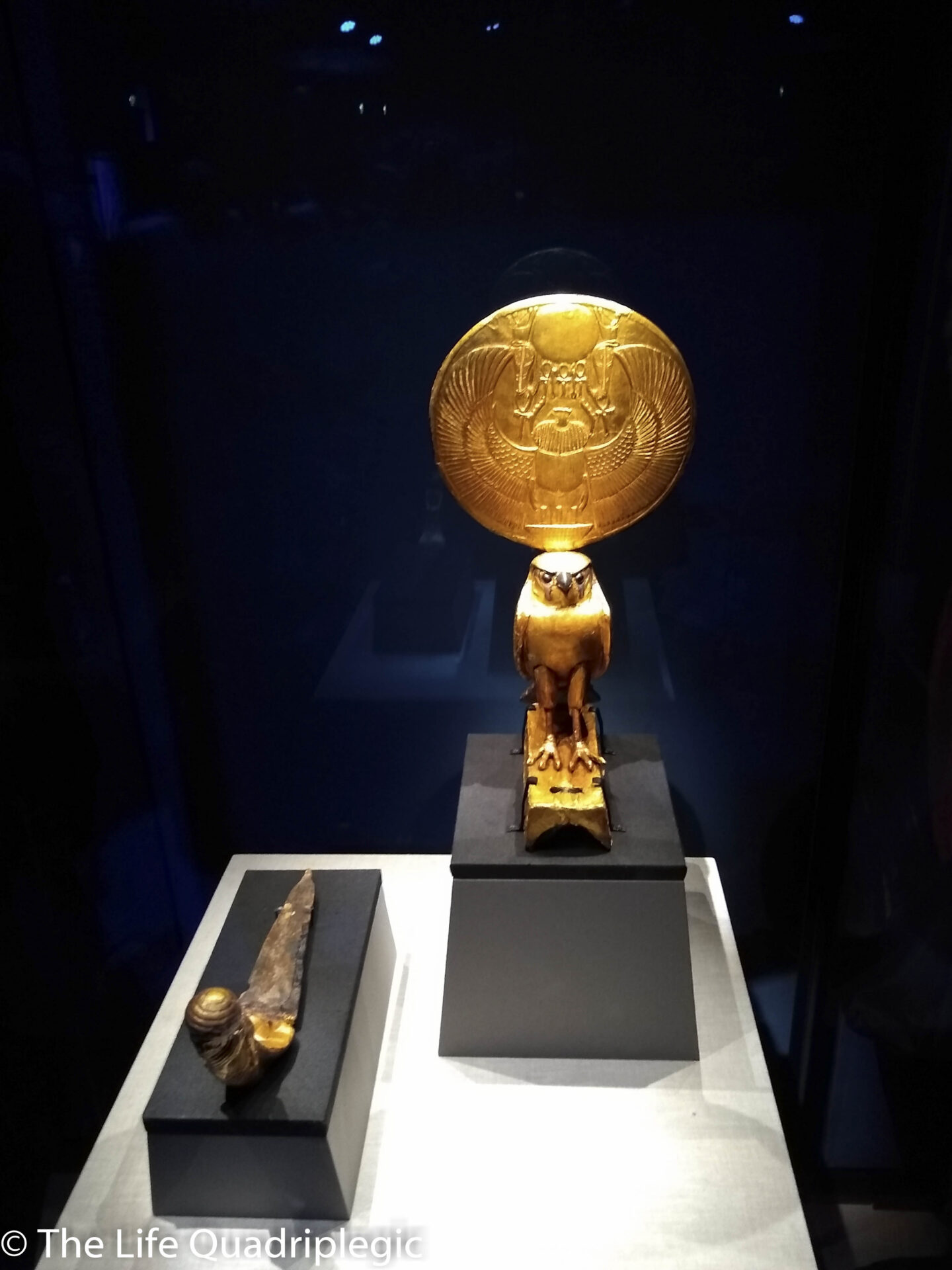 IMG_20191104_151303712