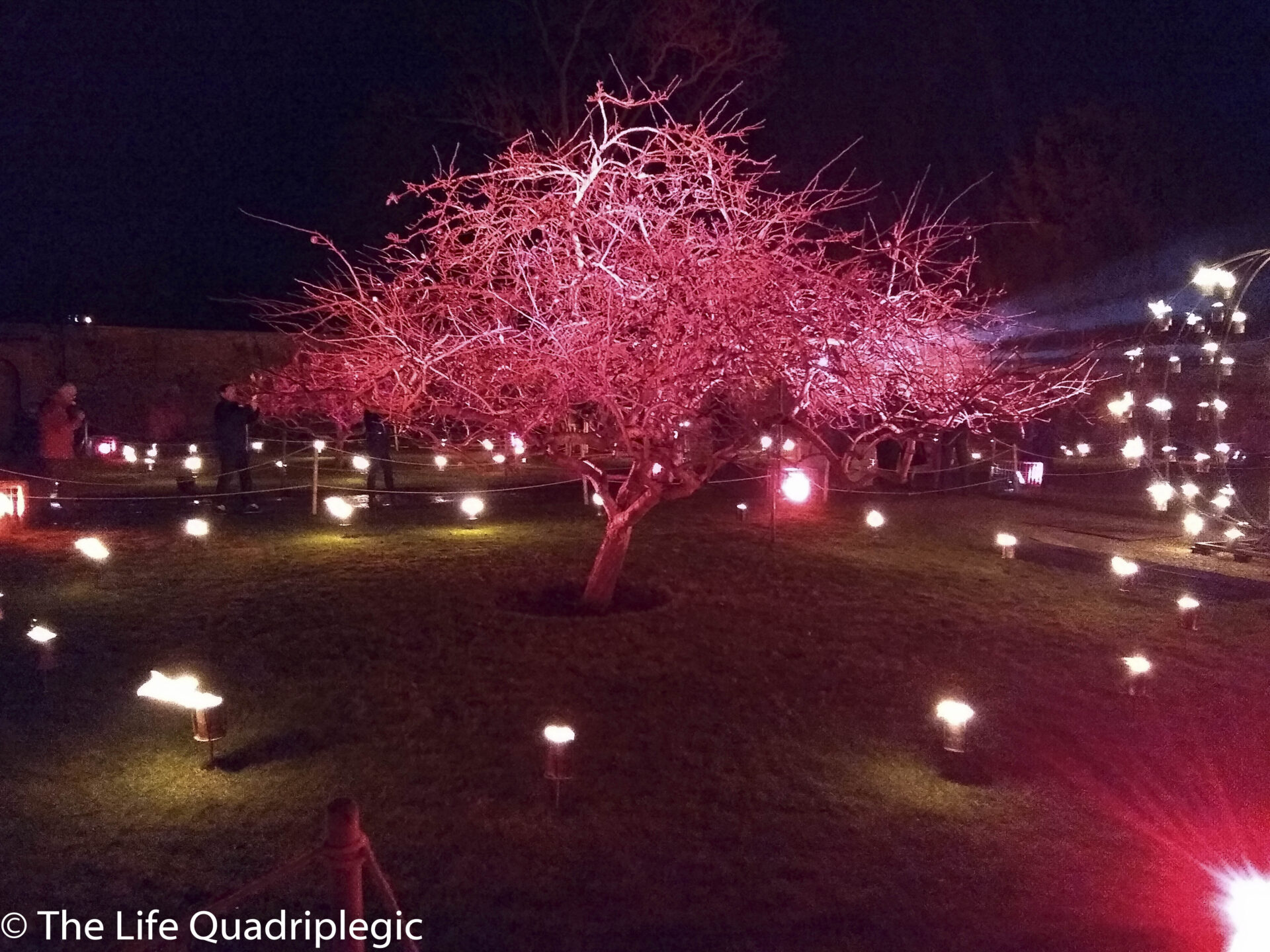 IMG_20191208_182055835