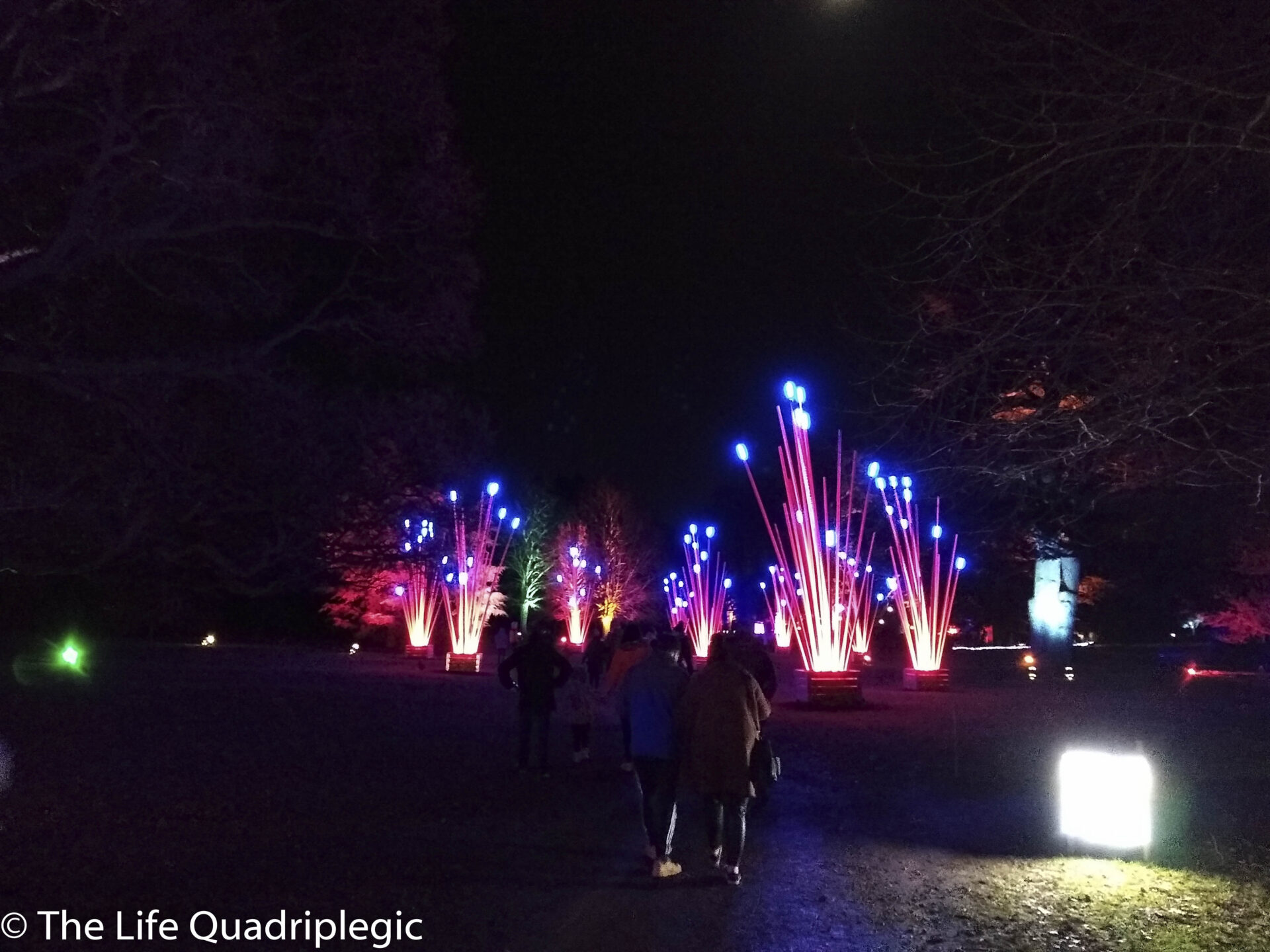 IMG_20191208_183027546