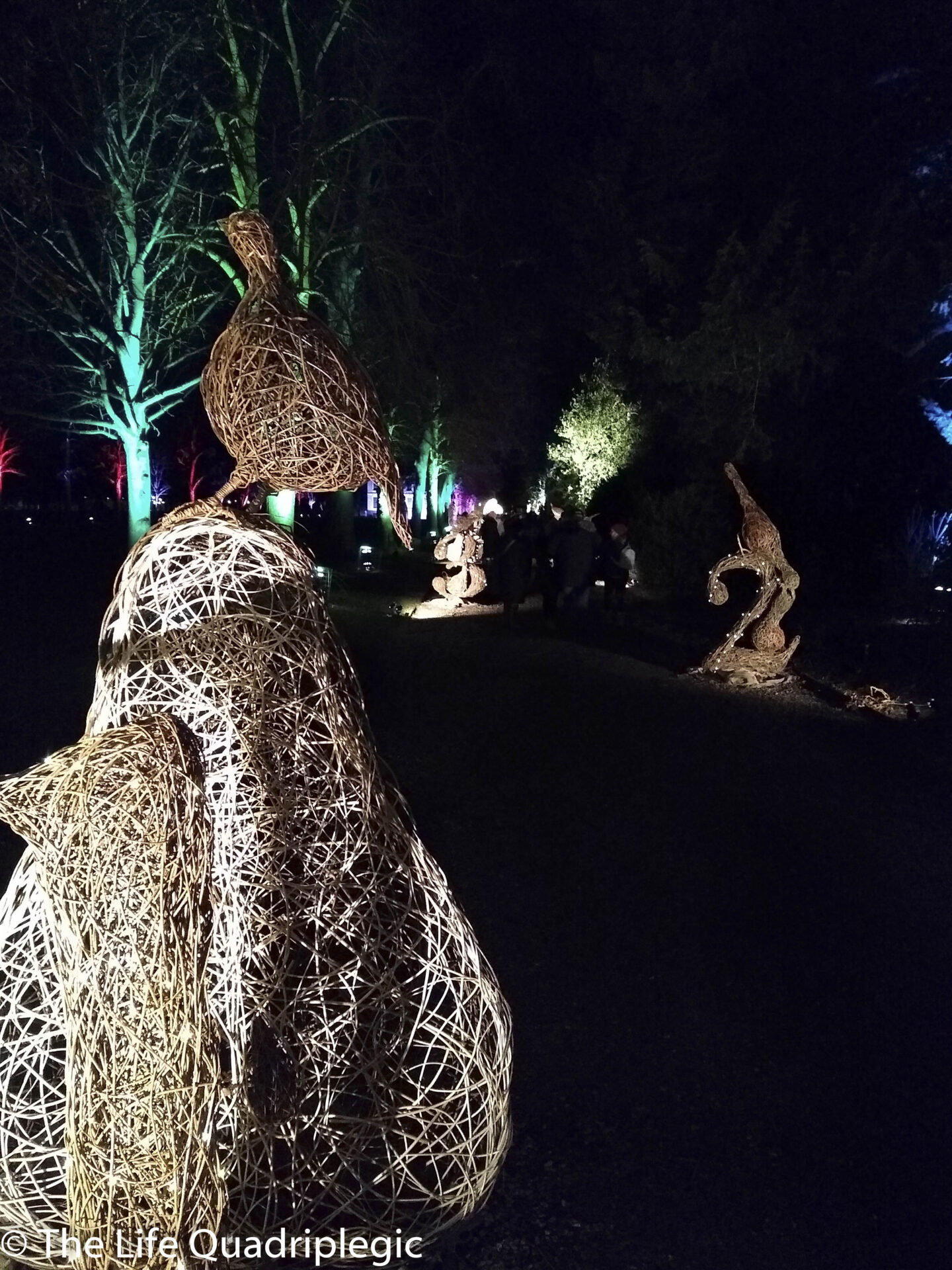 IMG_20191208_184312147