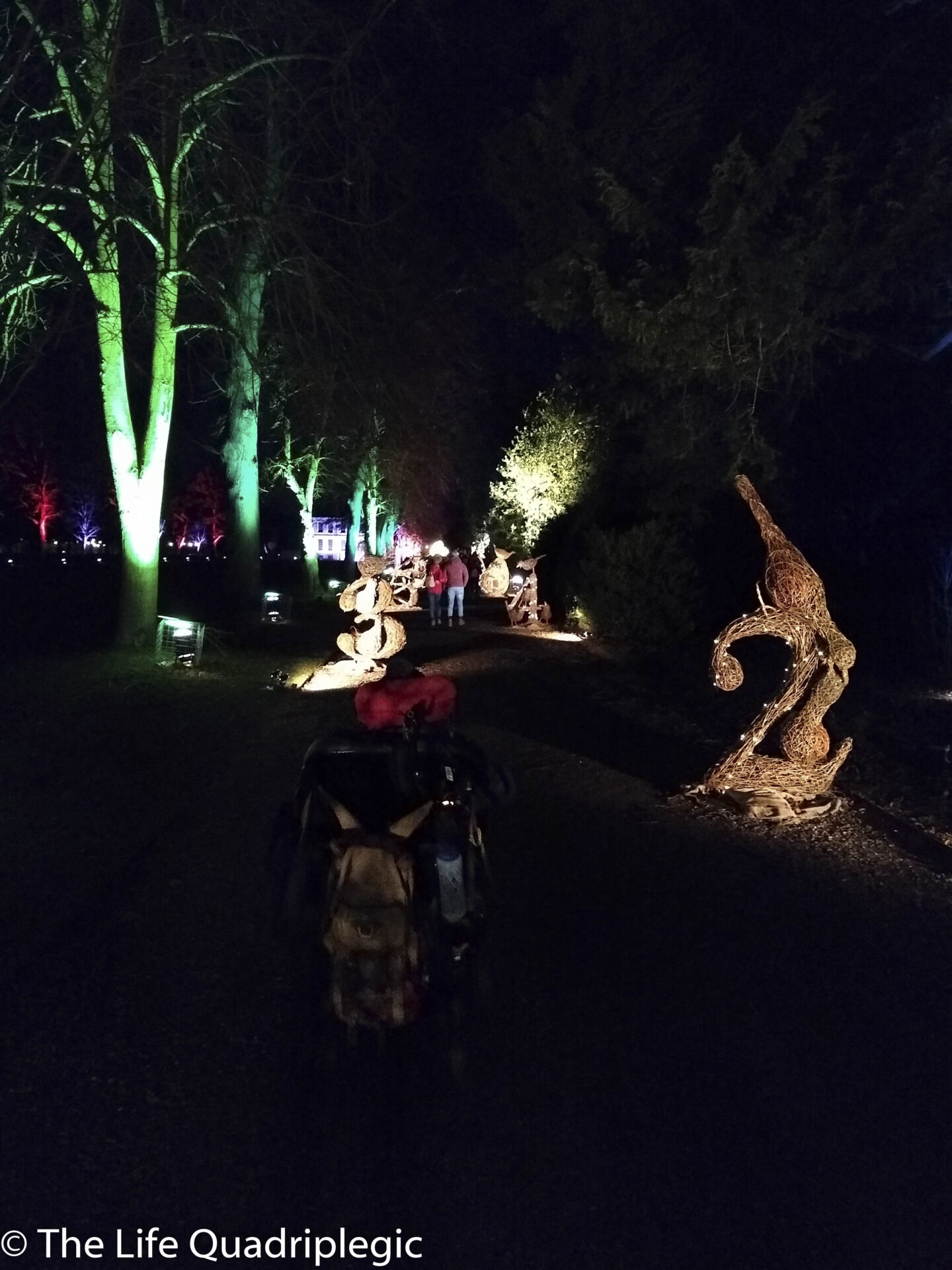 IMG_20191208_184354026