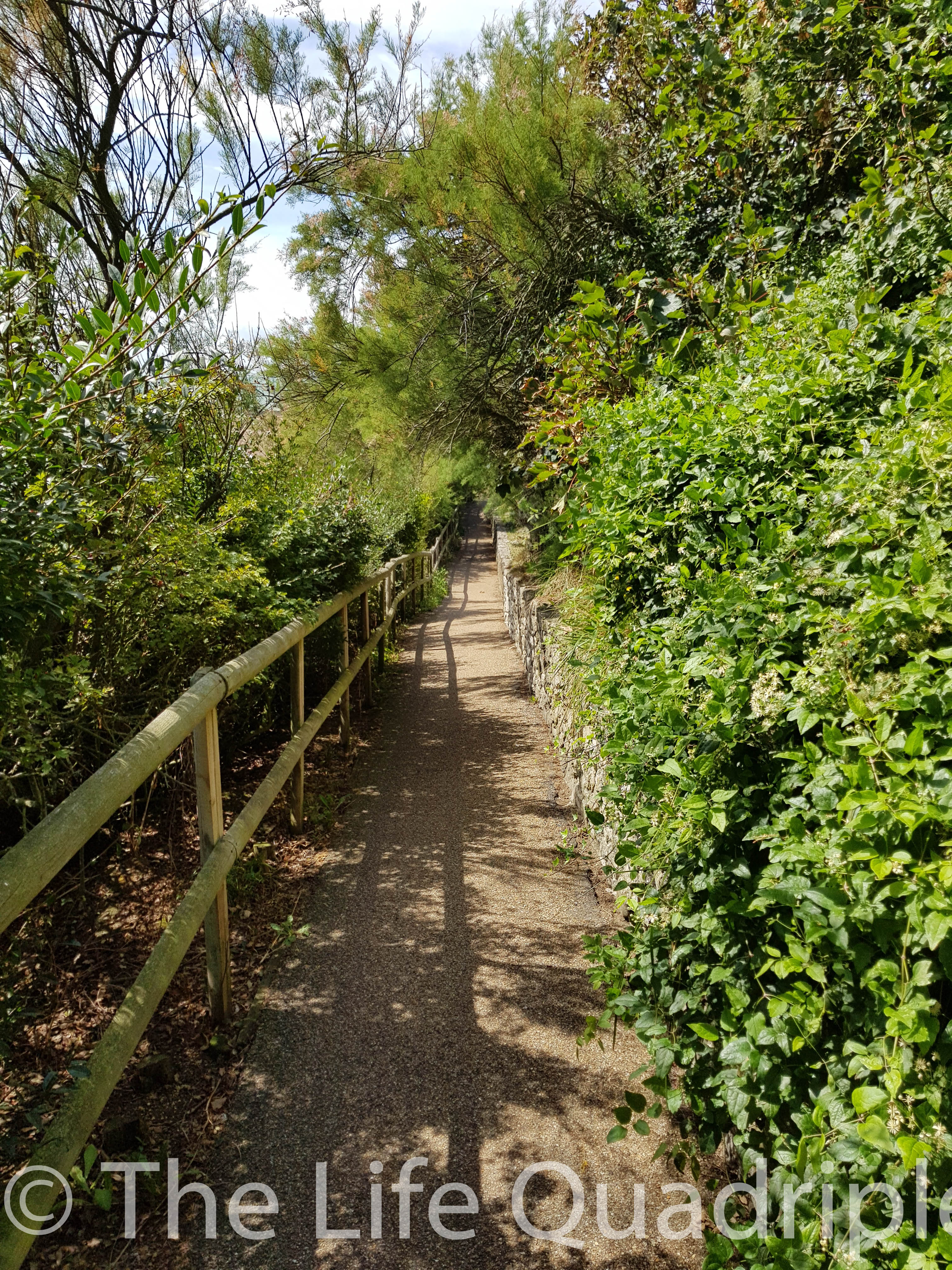 A path bordered by wooden fence and surrounded by bushes and trees