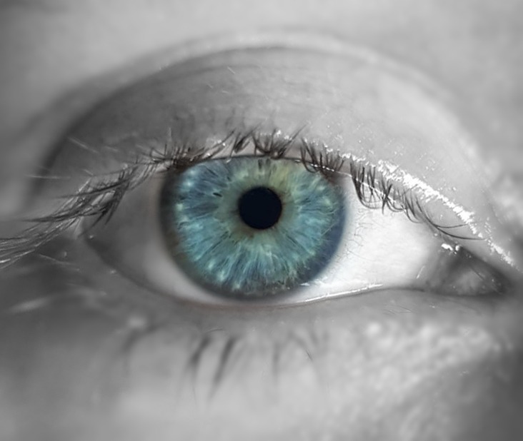 A close-up image of an eye which is entirely black and white apart from the iris which is blue