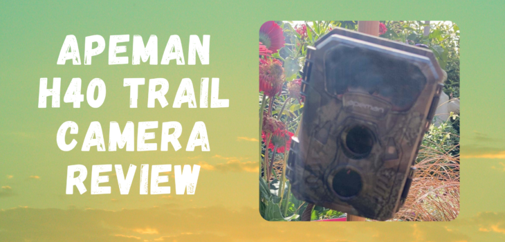 Apeman H40 Trail Camera Review