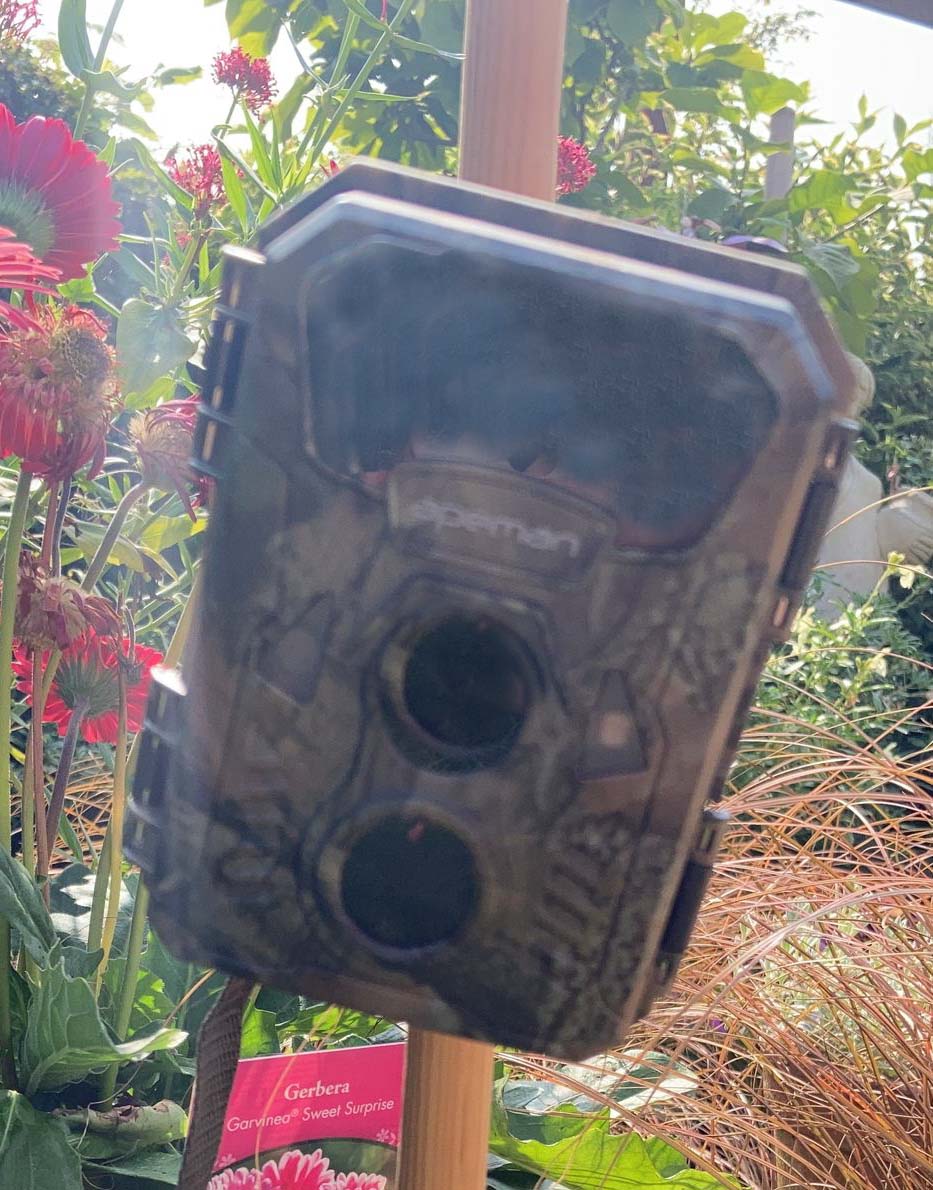 Apeman H40 Trail Camera Review The Life Quadriplegic