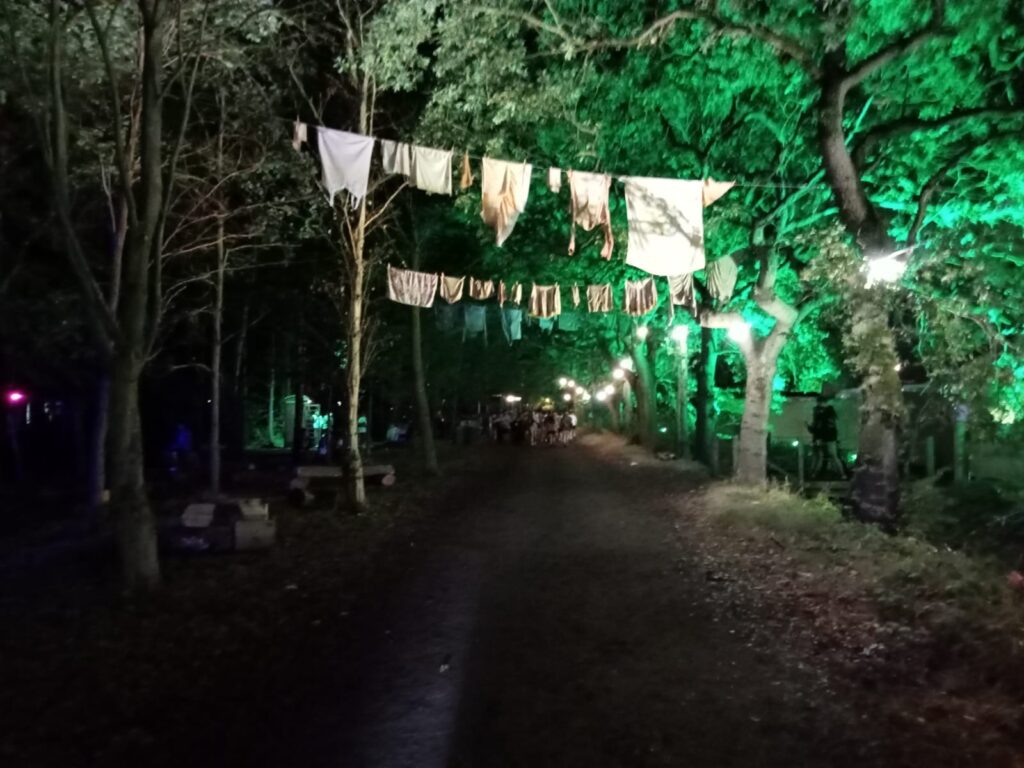 A dirt path through the words with trees on either side and shirts and underwear hanging on a line over the path