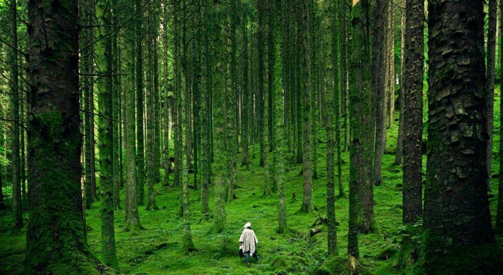 The quest to find new carers