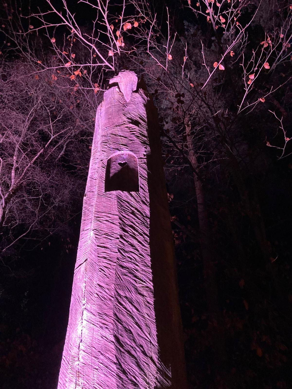 A tall wooden sculpture illuminated in purple light, surrounded by trees with sparse branches and a few remaining leaves, creating a magical atmosphere during the Luminate Christmas light trail.