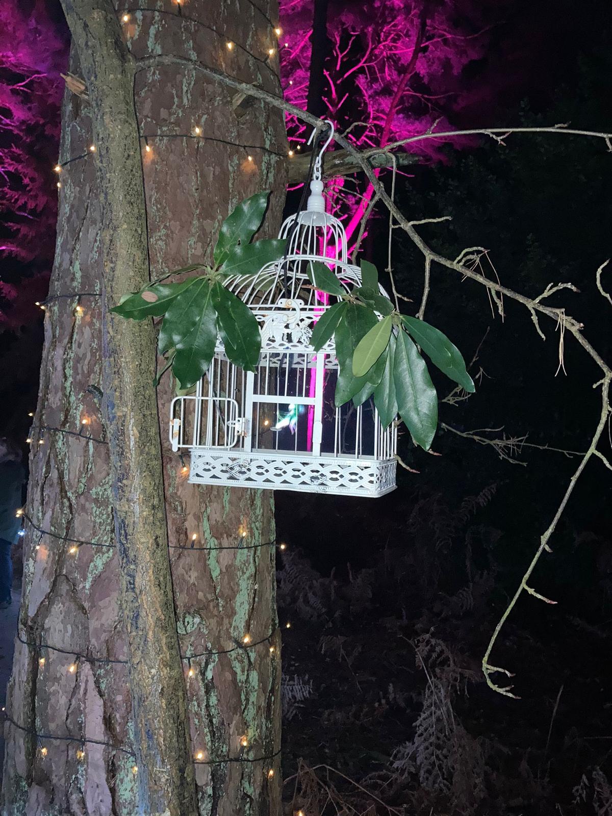 A decorative white birdcage hung from a tree branch, adorned with lush green leaves, surrounded by twinkling lights in a dark forest setting.