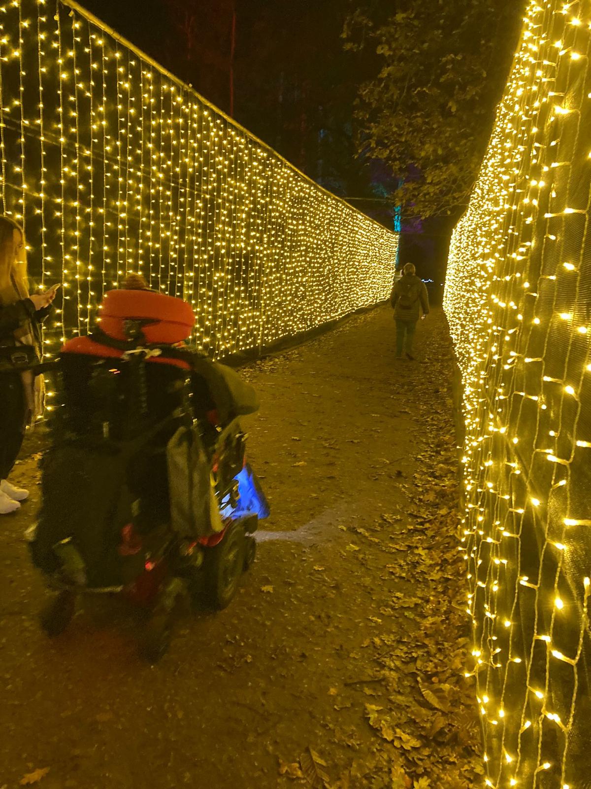 A pathway illuminated by golden Christmas lights, with a person in a wheelchair riding along the trail and others walking nearby.