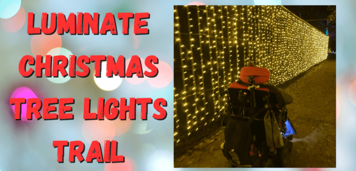 A wheelchair user travels along a path lined with bright yellow Christmas lights. Text on a bokeh background reads: Luminate Christmas Tree Lights Trail.