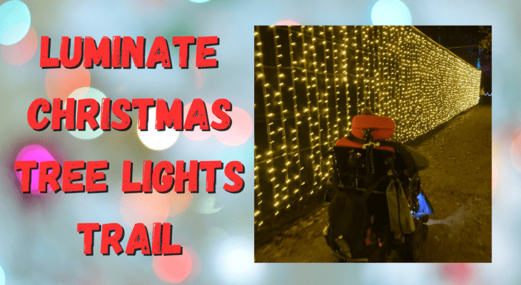 Luminate Christmas light trail at Sandringham