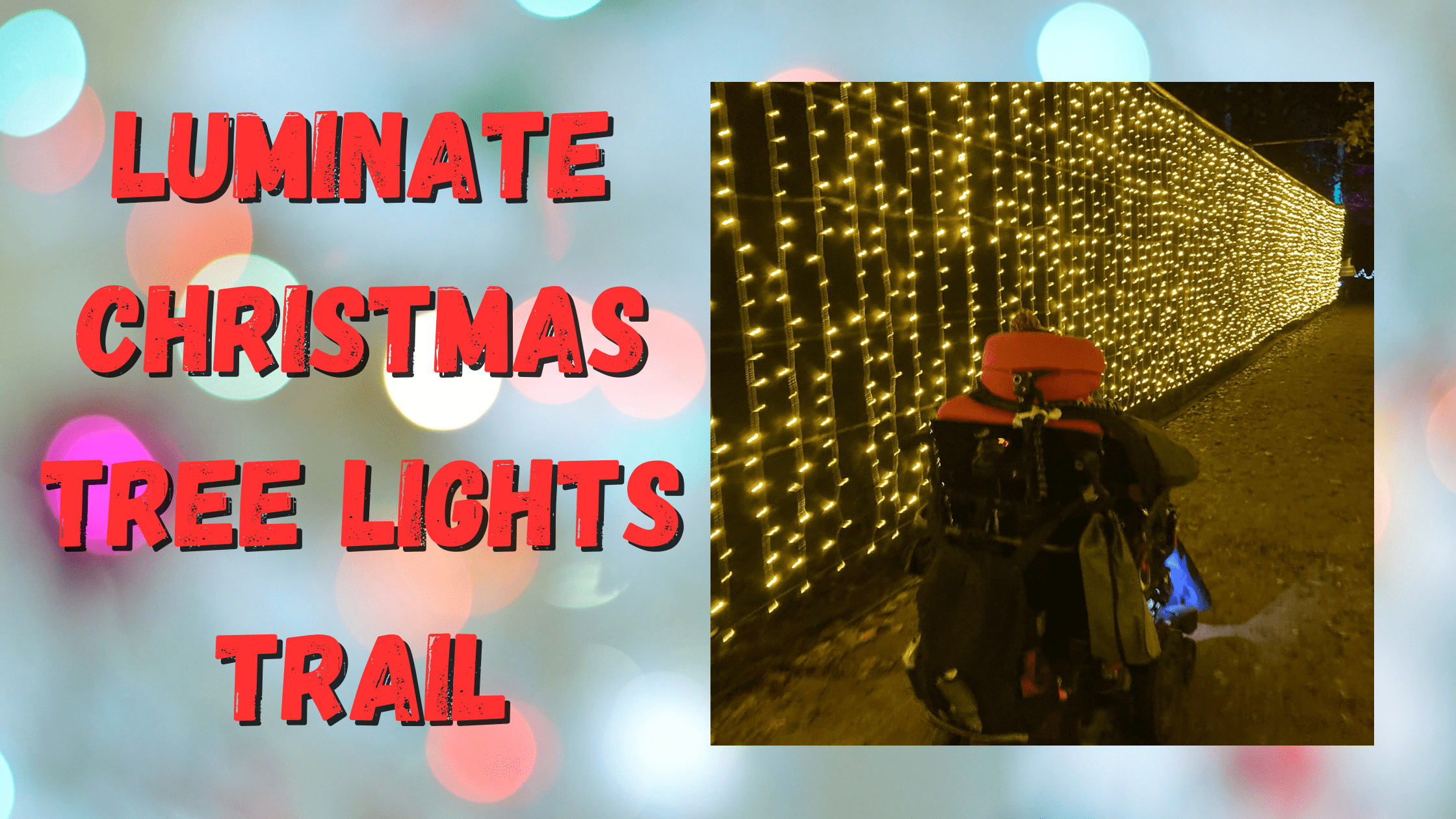 Luminate Christmas light trail at Sandringham The Life Quadriplegic