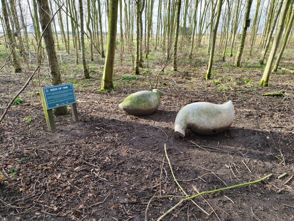 Sculptures titled 'Seeds of Time' in a wooded area of Sir Joseph Banks Country Park, with a sign explaining the artwork.