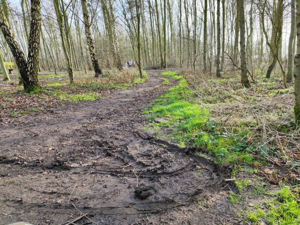 A muddy pathway winding through a forested area, with tall trees and greenery on either side.