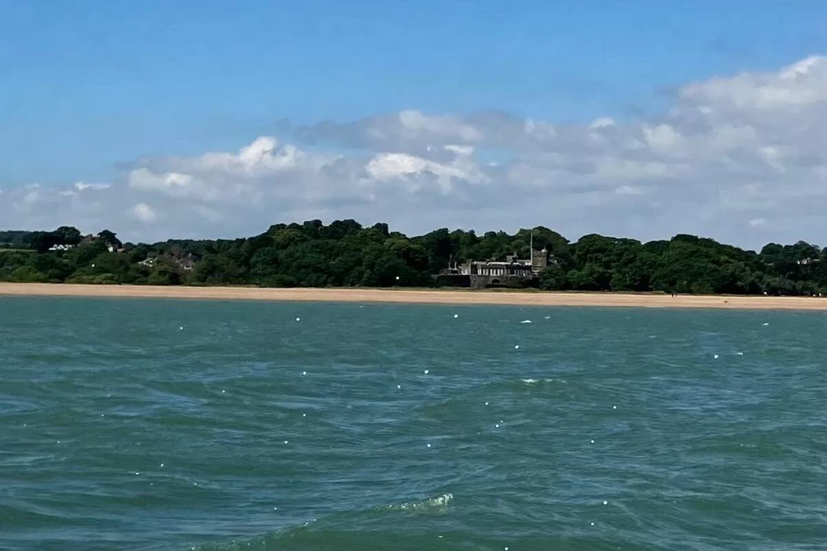 A scenic view of the coastline with lush green trees and a sandy beach under a blue sky with scattered clouds.