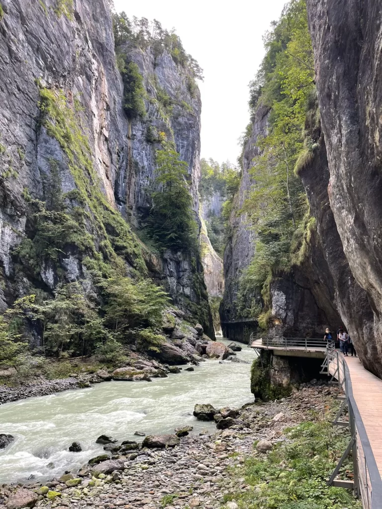 A view of the Aare Gorge, showcasing steep rock cliffs flanking a winding river with a wooden walkway along the side.