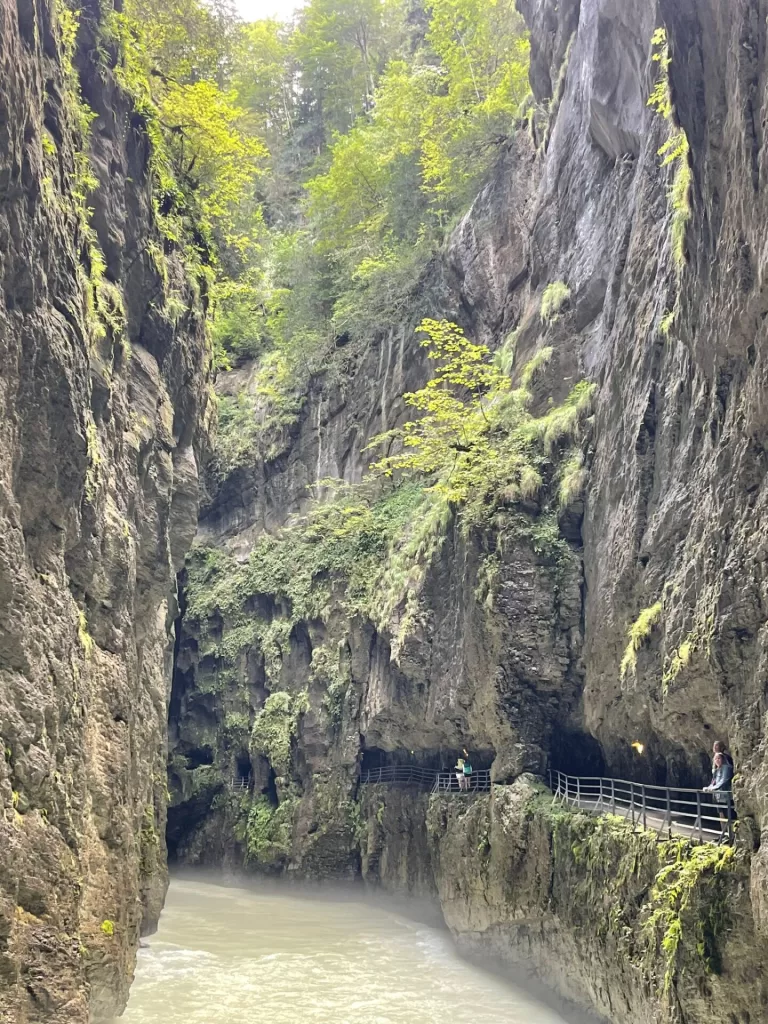 Aare Gorge with steep rocky cliffs and greenery along the edges, featuring a pathway with railings for visitors to walk along the side of a flowing river.