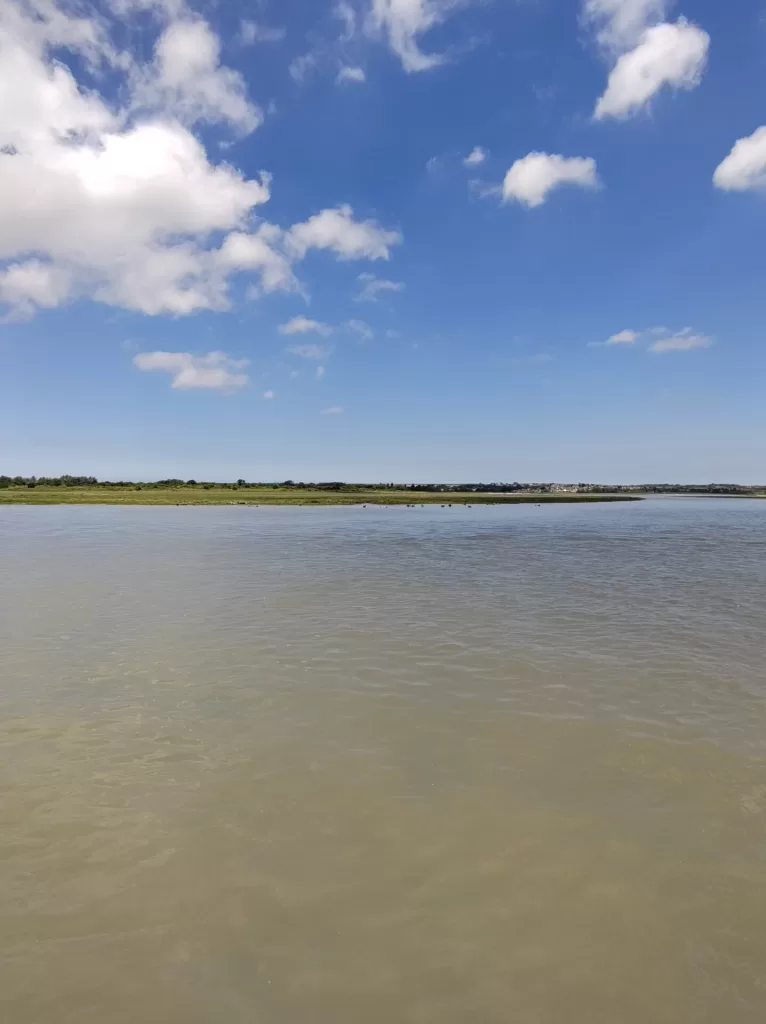 A serene view of a river with calm waters under a blue sky scattered with clouds, surrounded by grassy banks and distant land.