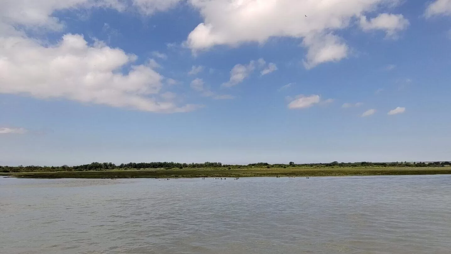 A scenic view of the Kent coast featuring a calm sea, lush green land, and a partly cloudy blue sky.