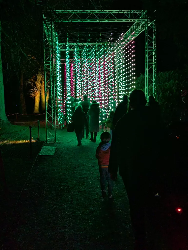 Visitors walking through a light tunnel with colorful LED lights at Belton House during the Christmas event.