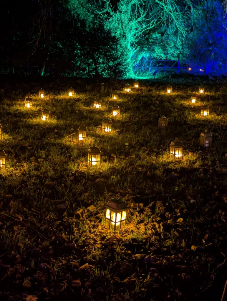 A nighttime scene featuring numerous lanterns glowing on a grassy area, surrounded by fallen leaves, with vibrant blue lighting illuminating the trees in the background.